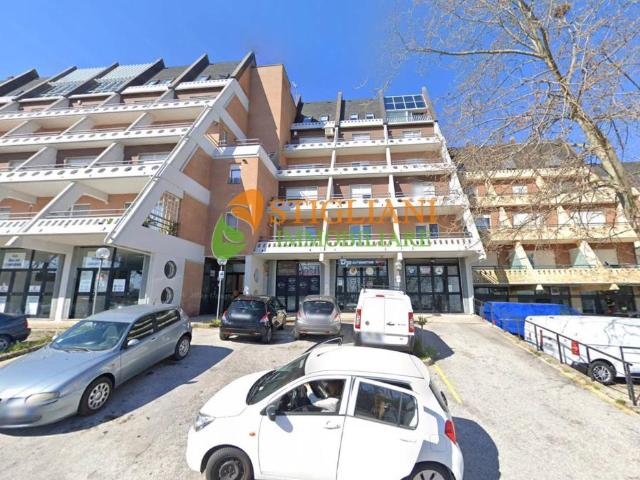 Negozio in affitto a Campobasso