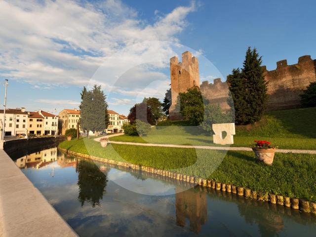 Negozio in affitto a Castelfranco Veneto