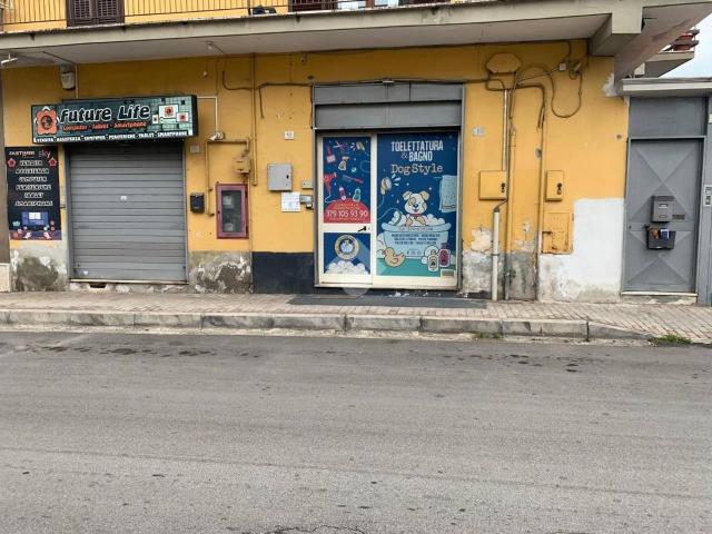 Negozio in affitto a Caserta
