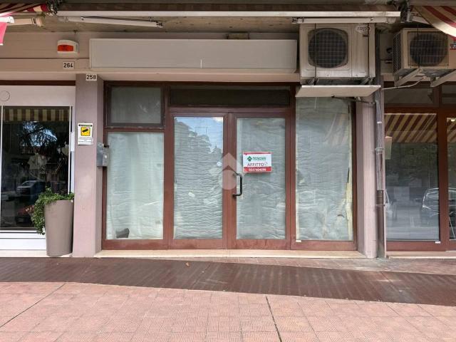 Negozio in affitto a Cesena