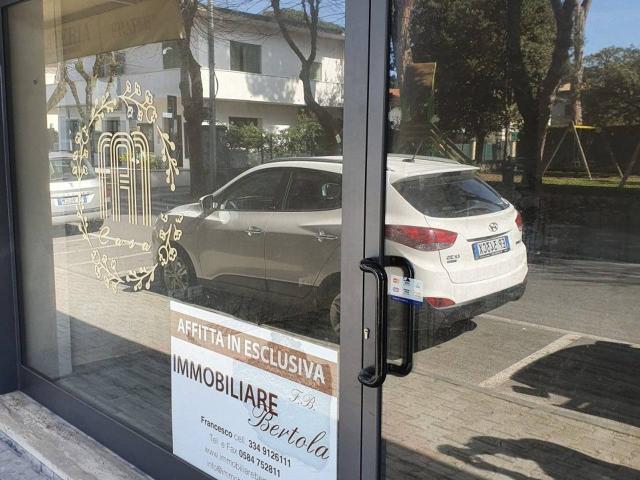 Negozio in affitto a Forte Dei Marmi