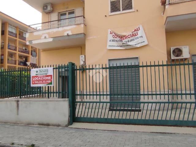 Negozio in affitto a Maddaloni