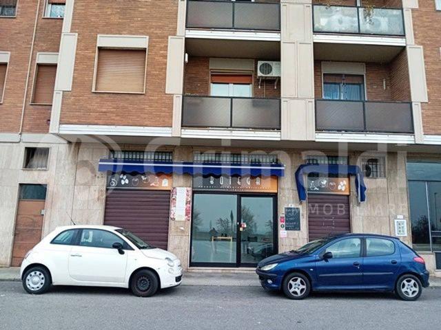 Negozio in affitto a Mediglia