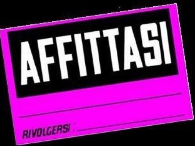 Negozio in affitto a Montebelluna