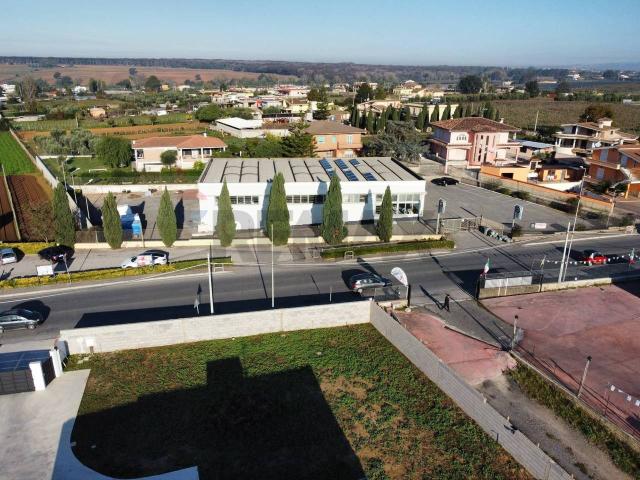 Negozio in affitto a Nettuno