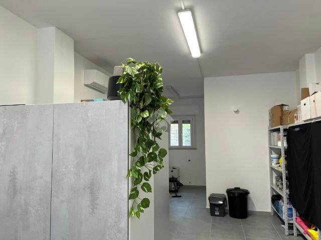 Negozio in affitto a Parma