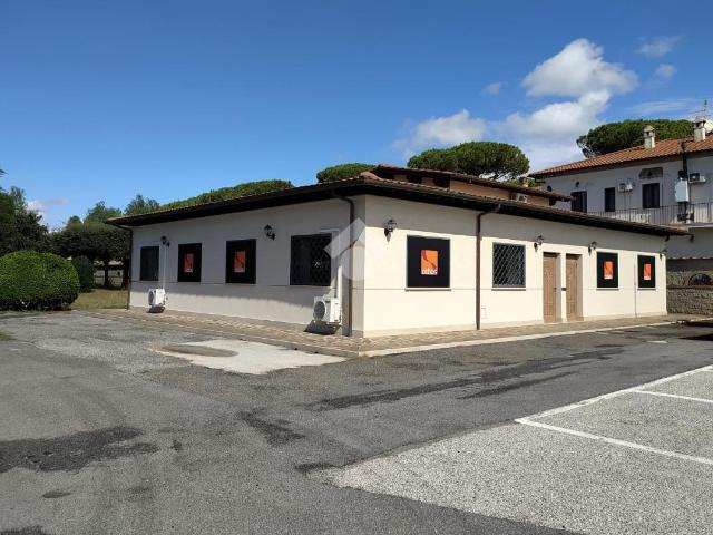 Negozio in affitto a Pomezia
