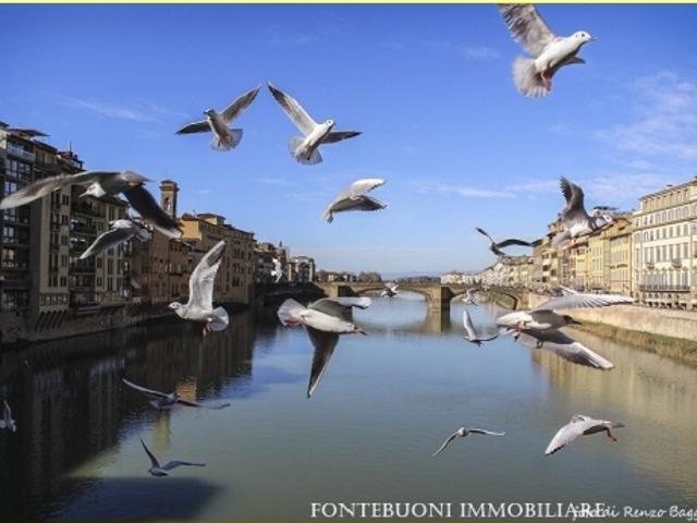Negozio in affitto, Firenze bellariva varlungo
