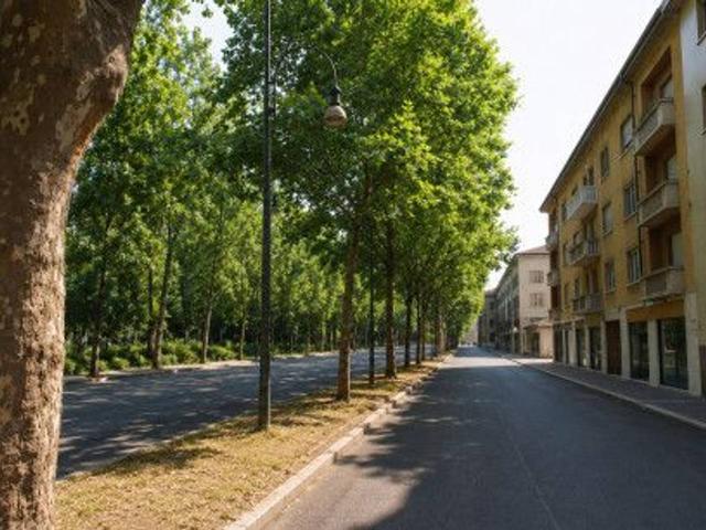 Negozio in vendita a Torino