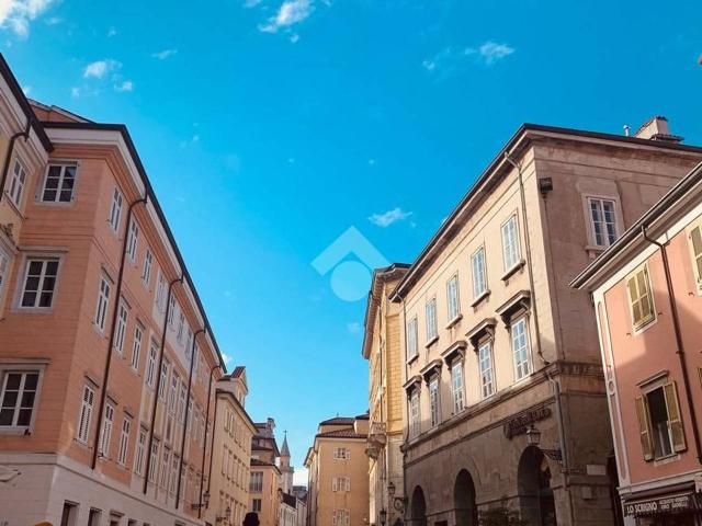 Negozio in vendita a Trieste