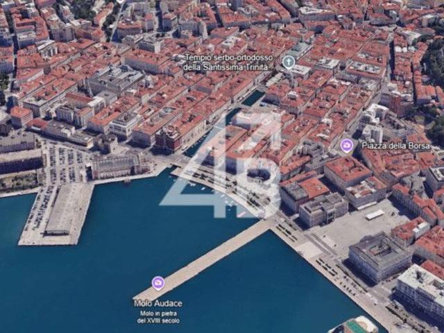 Negozio in vendita a Trieste