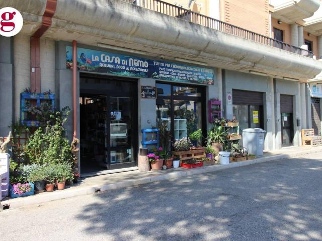 Negozio in vendita a Vasto