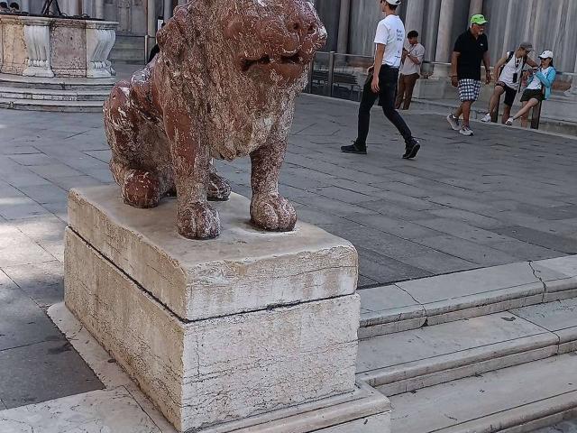 Negozio in vendita a Venezia