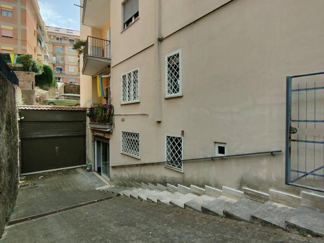 Negozio in vendita a Albano Laziale