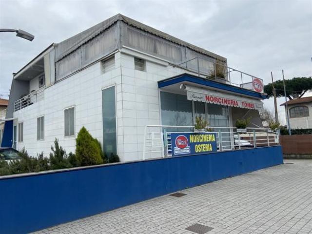 Negozio in vendita a Camaiore