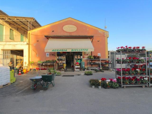 Negozio in vendita a Casciana Terme Lari