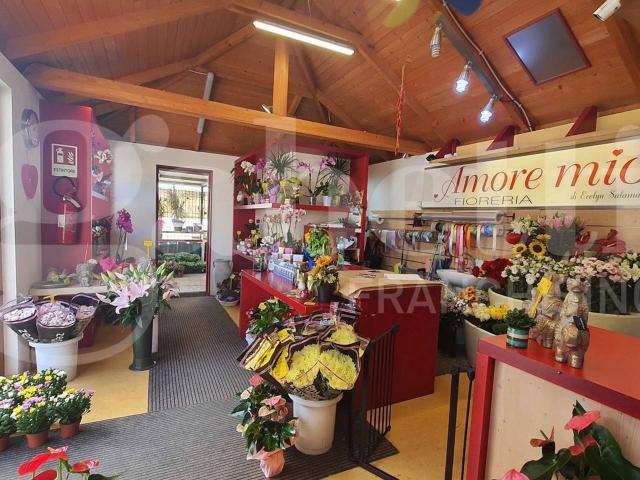 Negozio in vendita a Cividale Del Friuli