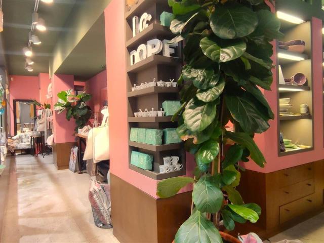 Negozio in vendita a Padova