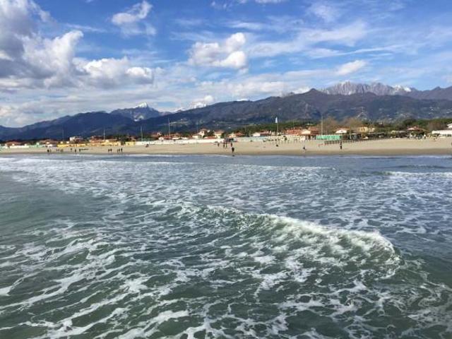 Negozio in vendita a Pietrasanta