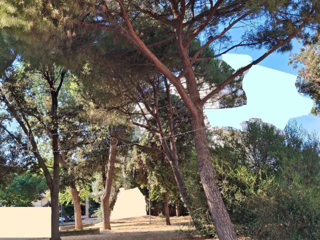 Negozio in vendita a Rimini