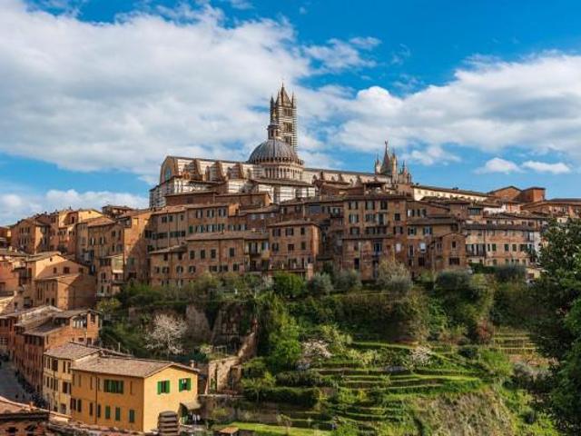 Negozio in vendita a Siena