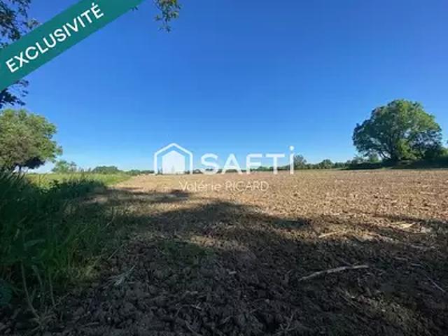 Nègrepelisse 82800 Achat / Vente terrain