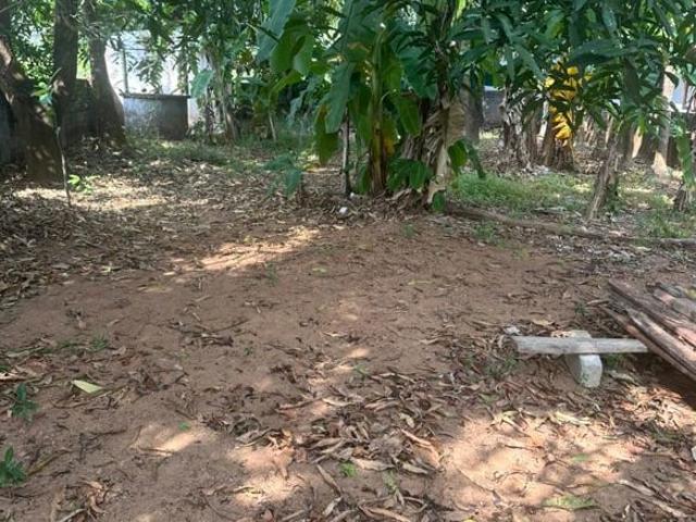 Nellankara, Thrissur City 3484 Sq.Ft. Plot in Nellankara Thrissur Listing ID: #10326