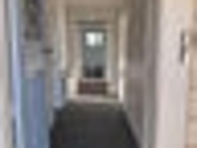 Nelson South, 3 bedrooms, $600 pw