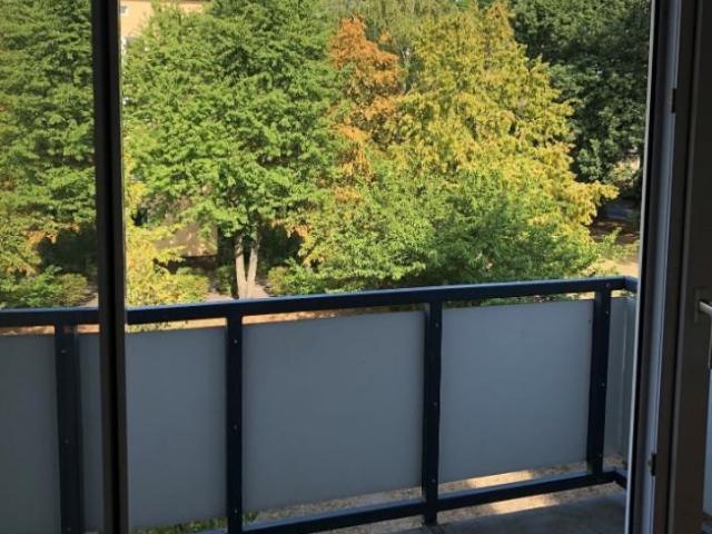Nettokaltmiete exkl. Betriebskosten, for rent at Senftenberg 01968, Germany