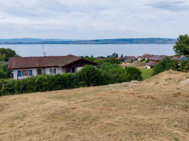 Neuvecelle Vente Terrain 74