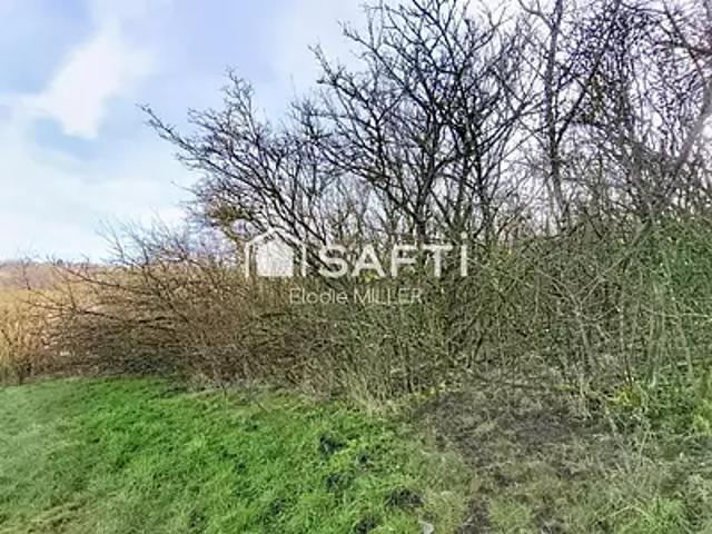 Neuves Maisons 54230 Achat / Vente terrain