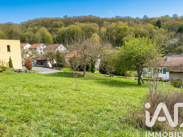 Neuves Maisons Vente Terrain 54