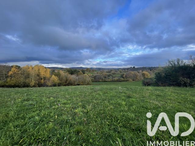 Neuvic Entier Vente Terrain 87