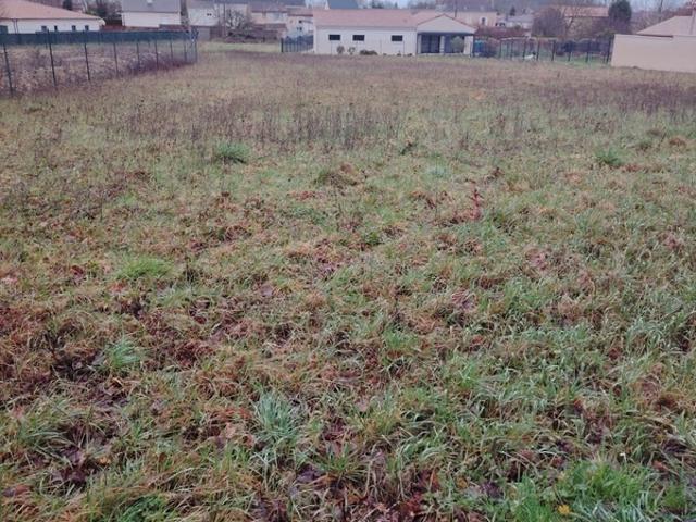 Neuville de Poitou Vente Terrain 86