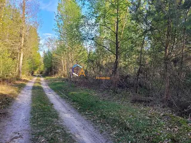 Neuvy sur Barangeon 18330 Achat / Vente terrain