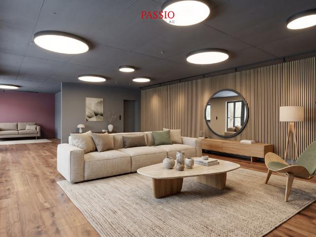 Neuwertige 3.5 Zimmer Loftwohnung mit 74 m² Terrasse am Aare Ufer