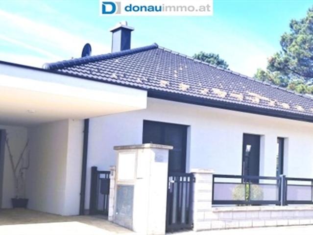 Neuwertiger Massivbungalow mit Pool, Gästehaus, Keller, Wintergarten in Guntramsdorf Preis auf Anfrage