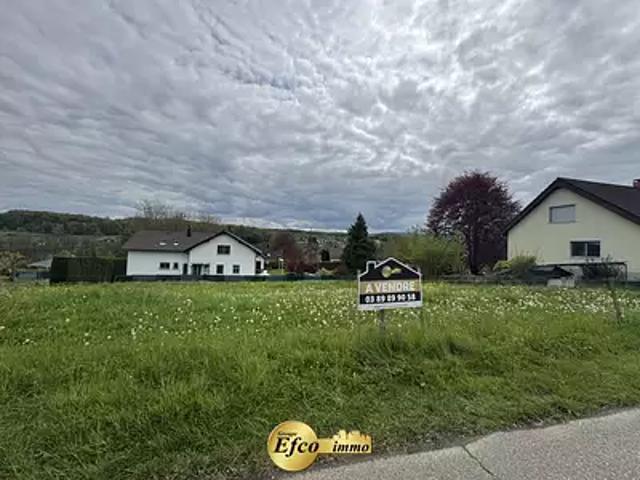 Neuwiller 68220 Achat / Vente terrain