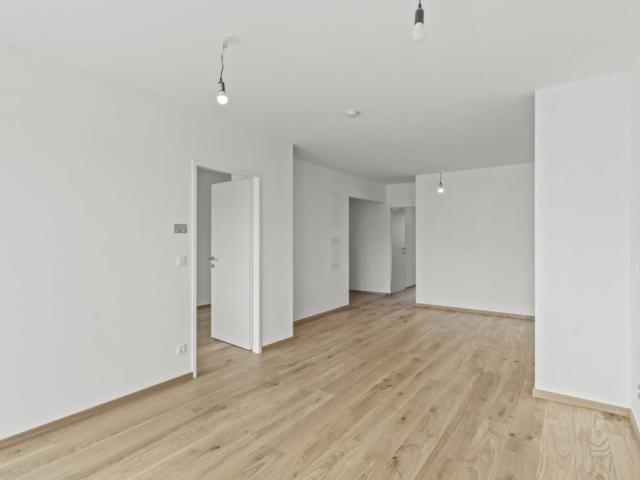 NEU in St. Andrä Wördern + STIEGE 1 TOP 10