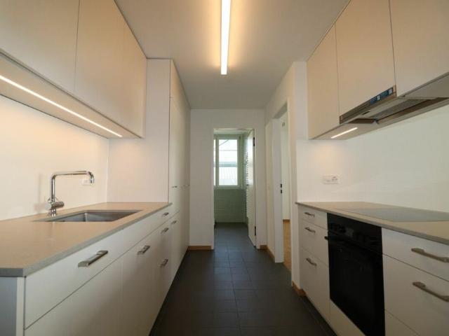 Neu sanierte 2.5 Zimmer Wohnung im Horburgquartier zu vermieten