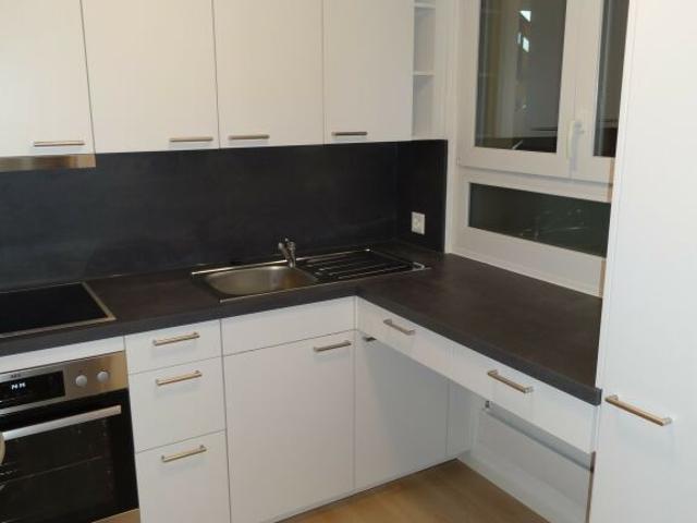 Neu sanierte 2 Zimmerwohnung