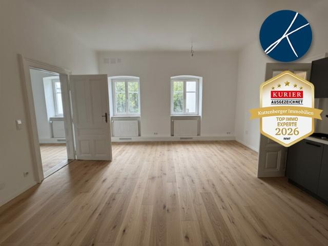 Neu saniertes 2 Zimmer Apartment in der Kremser Innenstadt