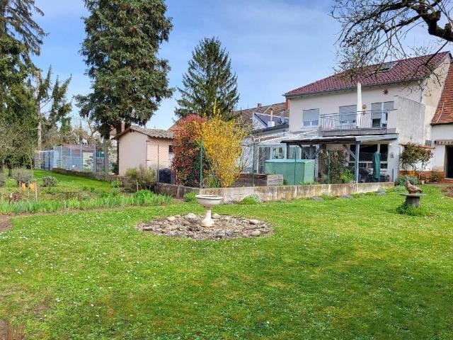 NEU: Sanierung oder Neubau Wohn und Geschäftshaus mit traumhaftem Sonnengrundstück