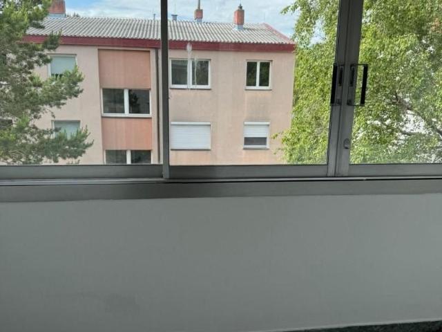 Neu renovierte, 2 3 Zimmer Wohnung + Loggia!
