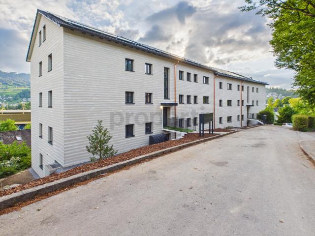 Neu renovierte 2.5 Zimmer Wohnung mit Balkon, Luzern