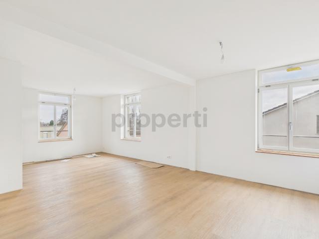 Neu renovierte 2.5 Zimmer wohnung mit Balkon, Rheineck