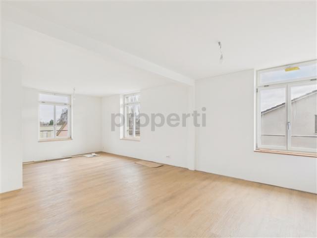 Neu renovierte 2.5 Zimmer wohnung mit Balkon, Rheineck