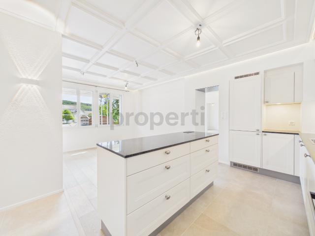 Besondere Altbauwohnung im Erstbezug 30m2 Terrasse & moderner Wohnkomfort