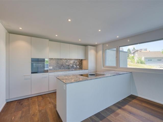 NEUBAU 3.5 Zimmer Wohnung mit 310 m2 Gartenanteil