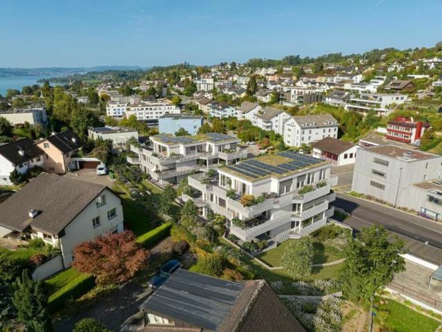 Neubau: Attraktive Gewerbefläche in Rapperswil Jona